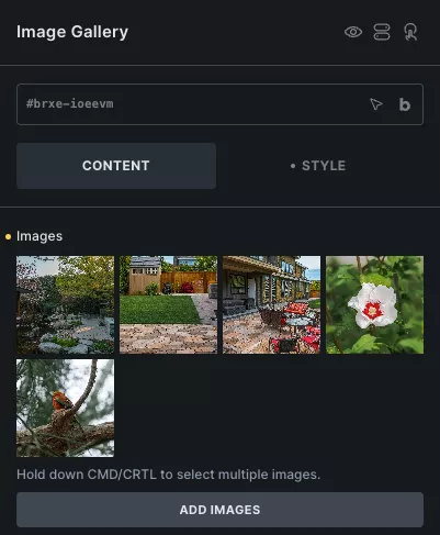 Image Gallery